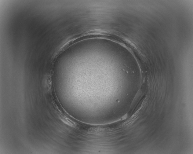 X0000074261355200609011332