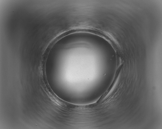 X0000074261356200609011332