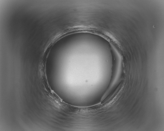 X0000074261357200609011332