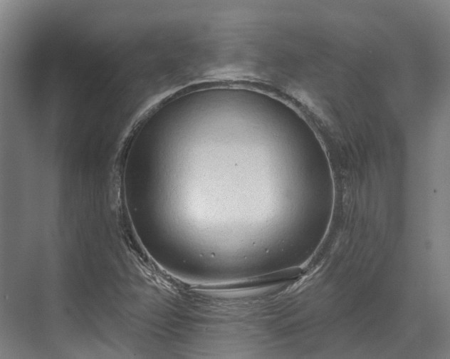 X0000074261358200609011332