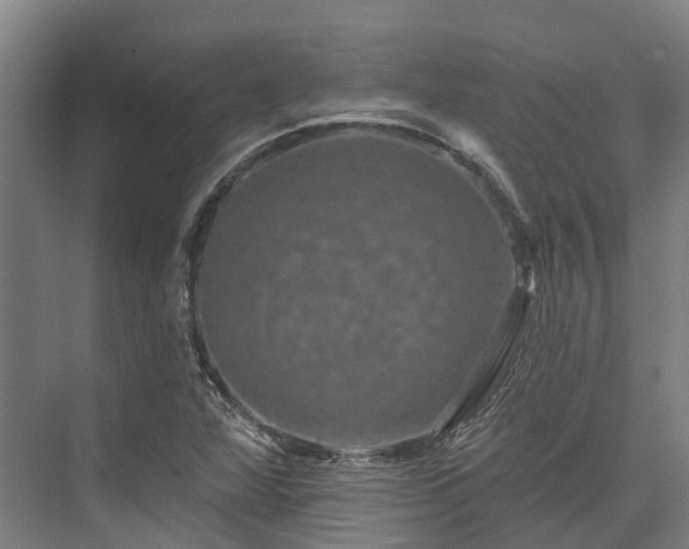 X0000074261360200609011332