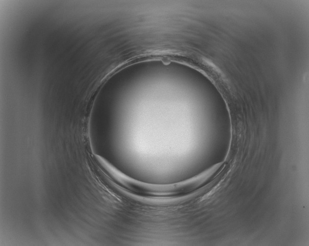 X0000074261361200609011332