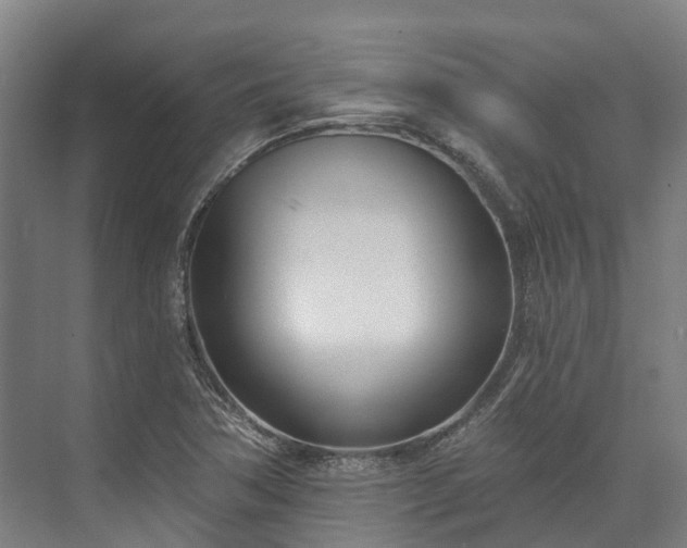 X0000074261362200609011332