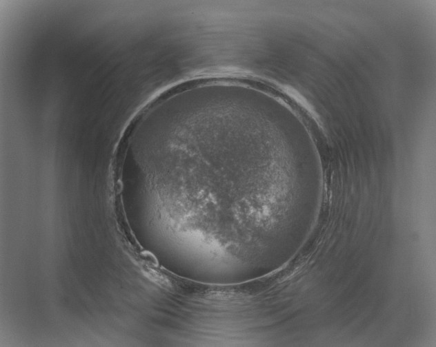 X0000074261364200609011332