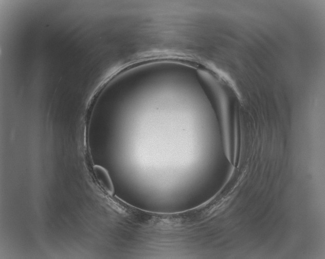 X0000074261365200609011332