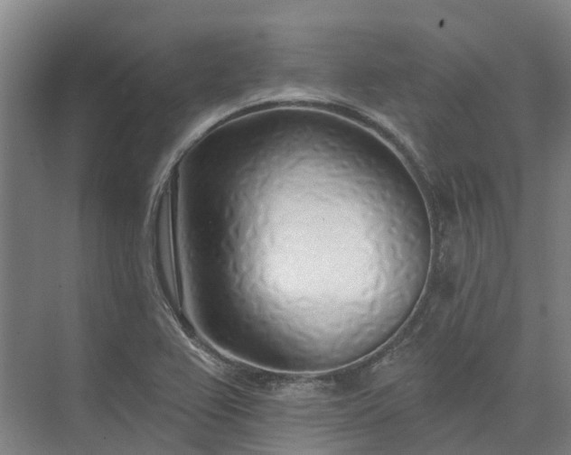 X0000074261367200609011332