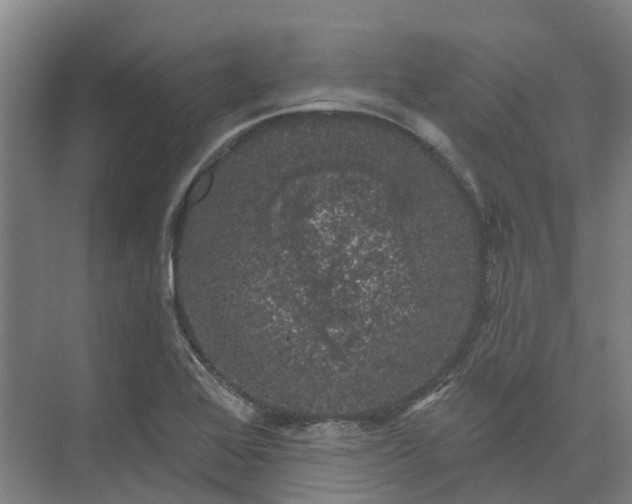 X0000074261368200609011332