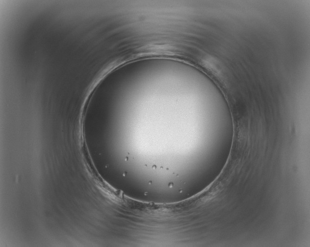 X0000074261370200609011331