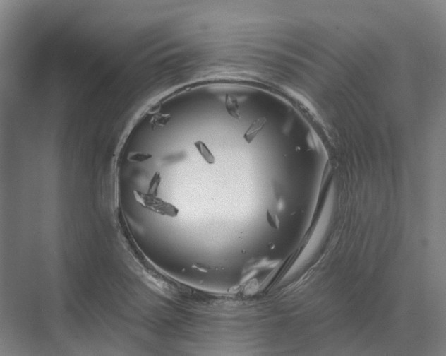 X0000074261371200609011331