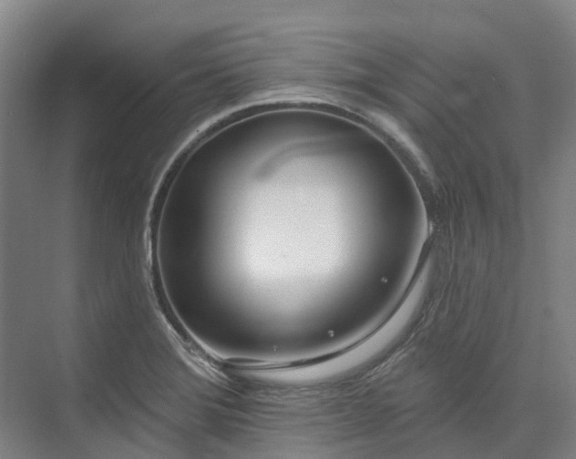 X0000074261372200609011331