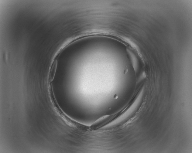 X0000074261373200609011331