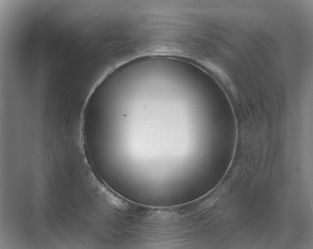 X0000074261374200609011331