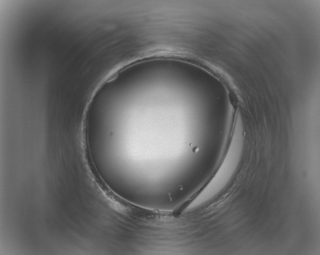 X0000074261375200609011331