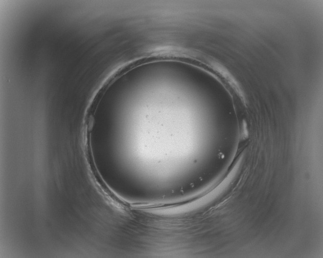 X0000074261376200609011331