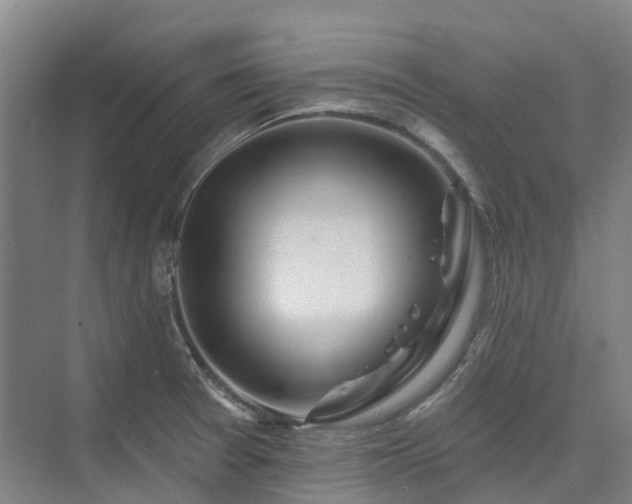 X0000074261377200609011331