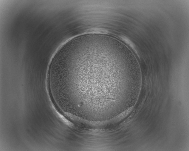 X0000074261379200609011331