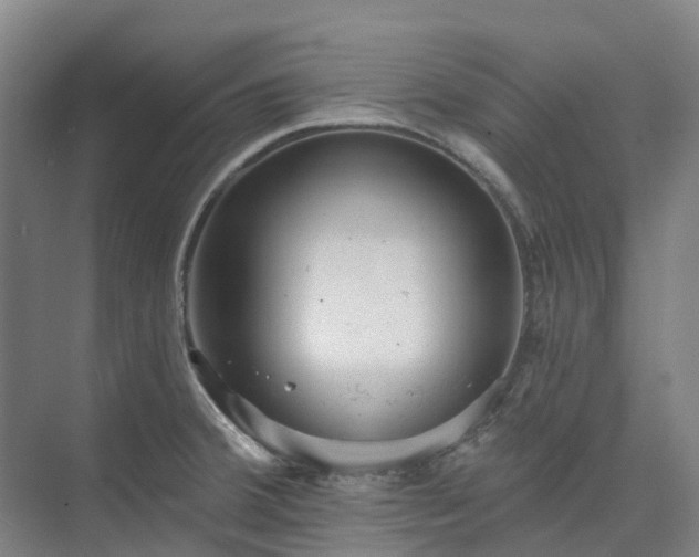 X0000074261380200609011331