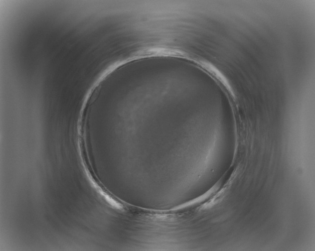 X0000074261381200609011331