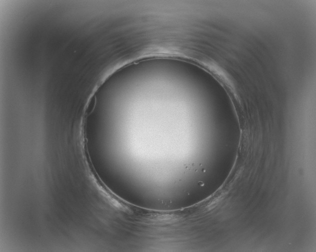 X0000074261382200609011331