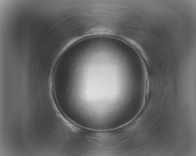 X0000074261383200609011331