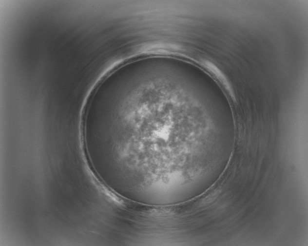 X0000074261384200609011331