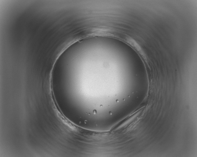 X0000074261386200609011331