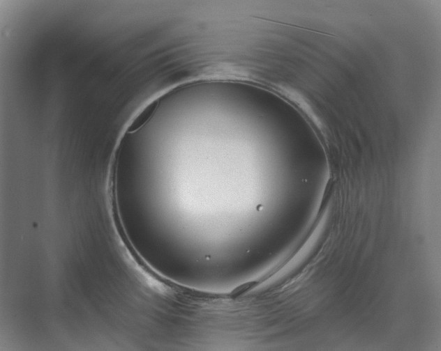 X0000074261387200609011331