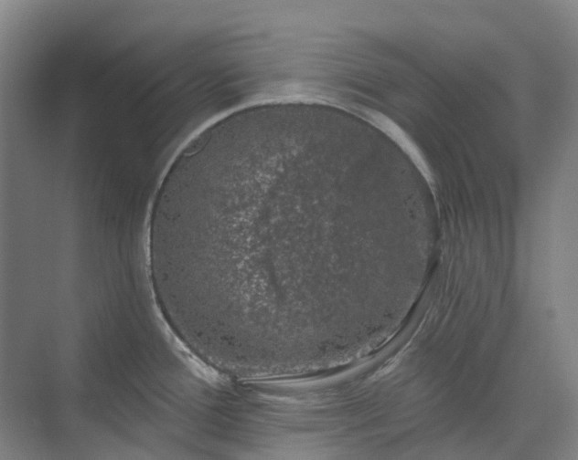 X0000074261388200609011331