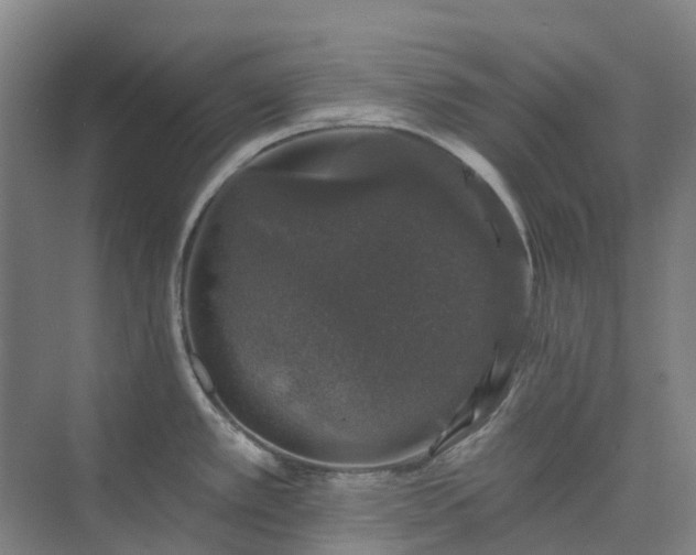 X0000074261389200609011331