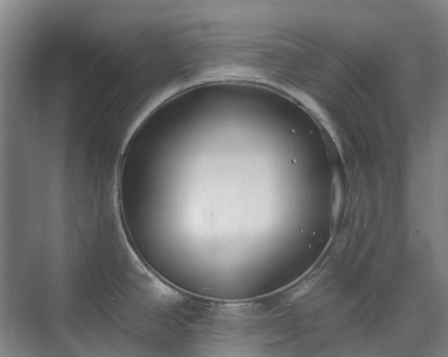 X0000074261390200609011331