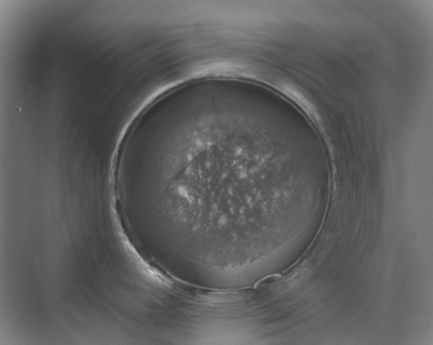 X0000074261392200609011331