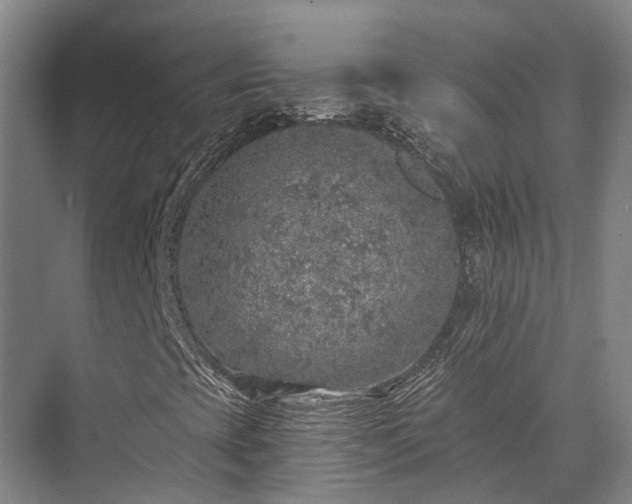 X0000074261393200609011330