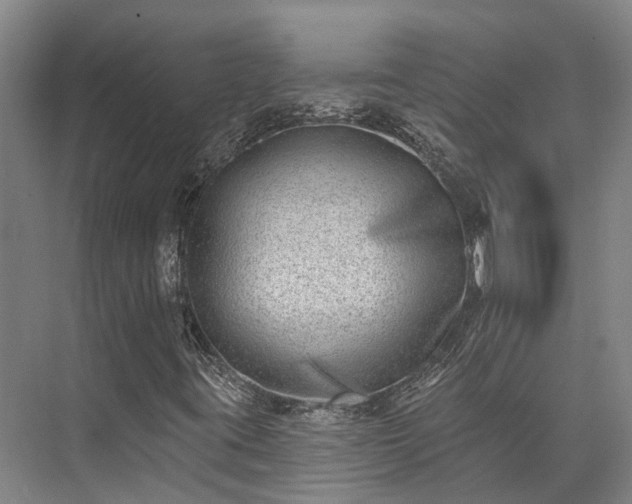 X0000074261395200609011330