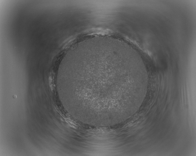 X0000074261399200609011330