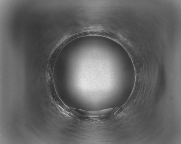 X0000074261400200609011330