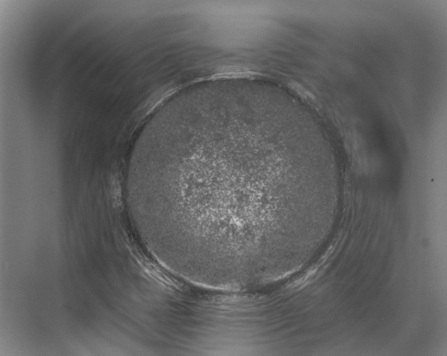 X0000074261401200609011330