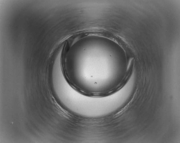 X0000074261402200609011330