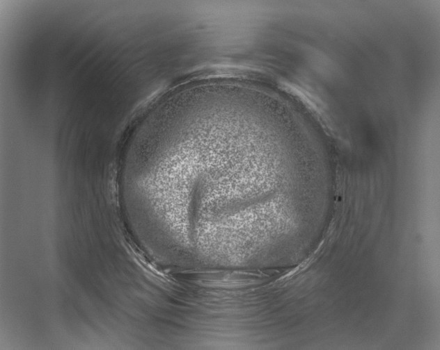 X0000074261403200609011330