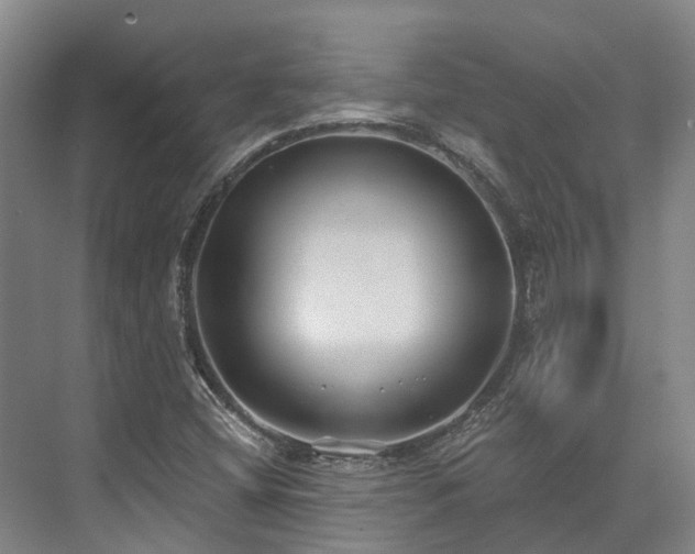 X0000074261404200609011330