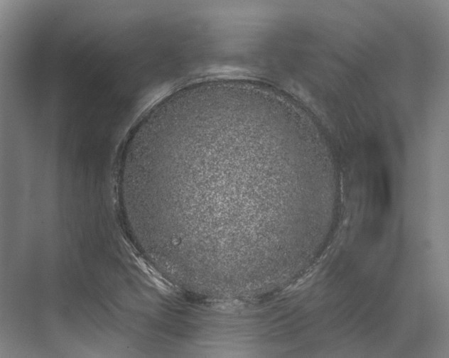 X0000074261405200609011330