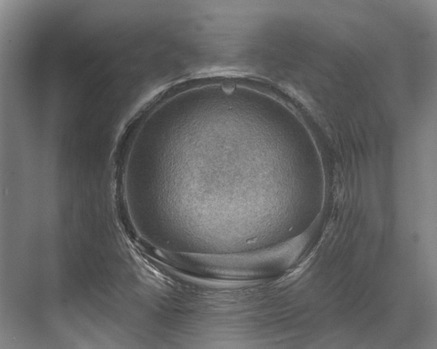 X0000074261406200609011331