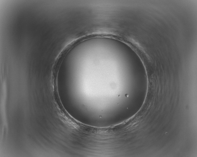 X0000074261408200609011331