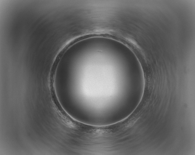 X0000074261412200609011331