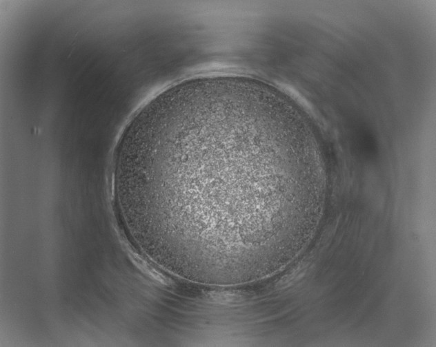 X0000074261413200609011331