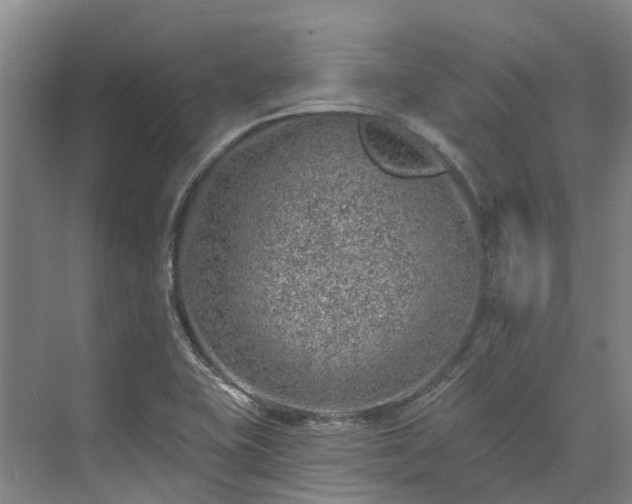 X0000074261415200609011331