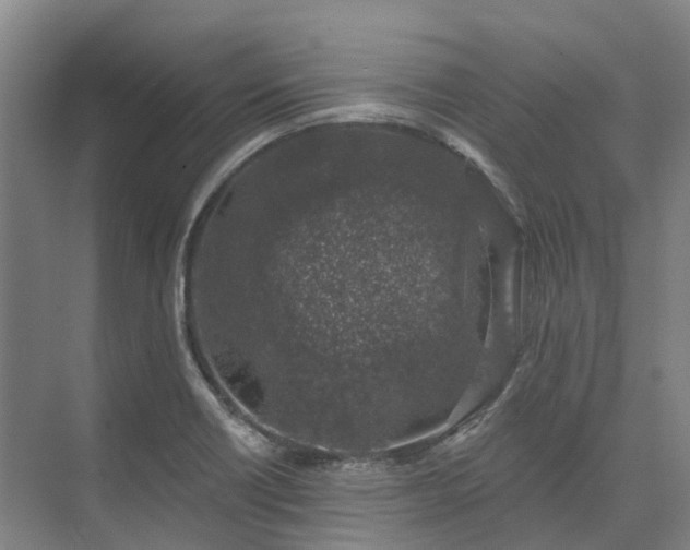 X0000074261418200609011331