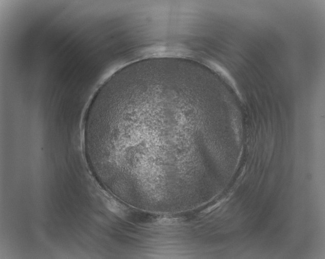 X0000074261419200609011331