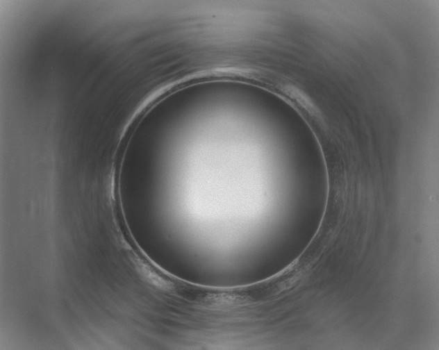 X0000074261420200609011331