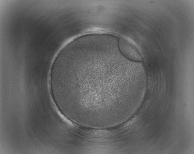 X0000074261421200609011331