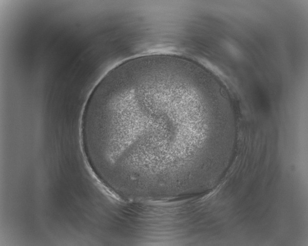 X0000074261423200609011331